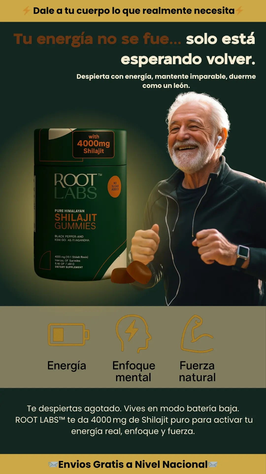 ROOT LABS