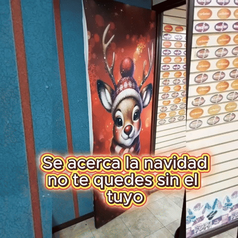 Forro Navideño para Puerta